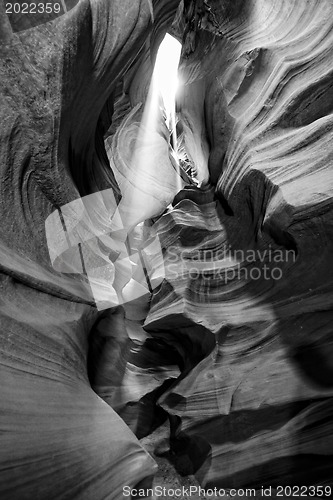 Image of Scenic canyon Antelope