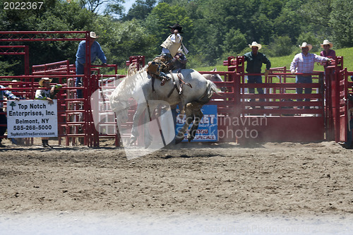 Image of Rodeo