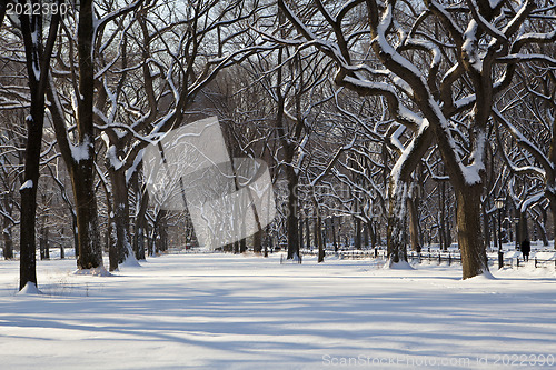 Image of Central Park, New York. Beautiful park in beautiful city. 