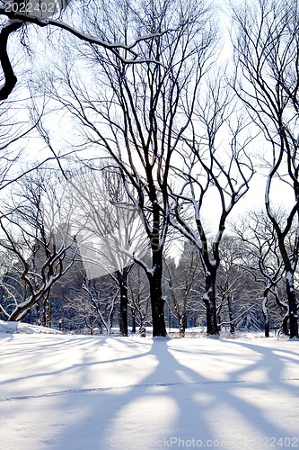 Image of Central Park, New York. Beautiful park in beautiful city. 