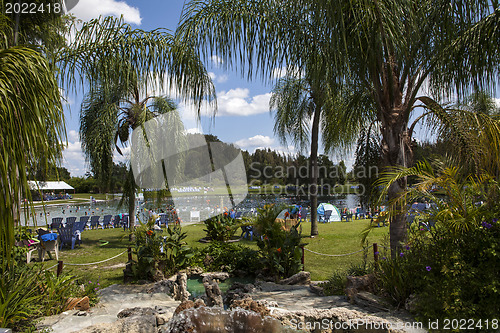 Image of Warm Mineral Springs In North Port, Florida