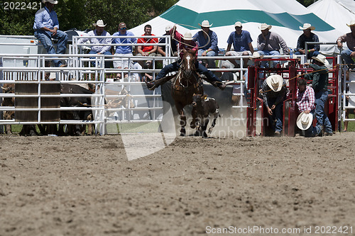 Image of Rodeo