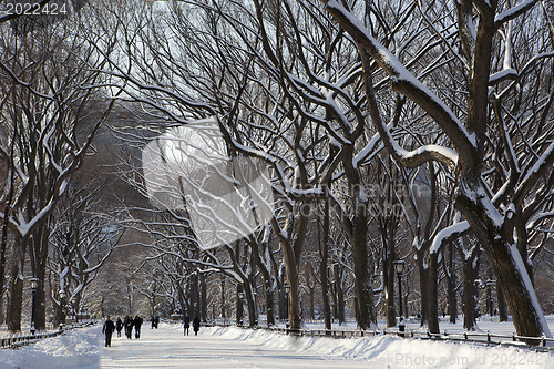 Image of Central Park, New York. Beautiful park in beautiful city. 