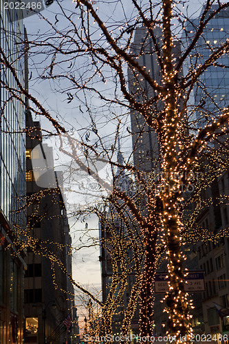 Image of Big Apple at night