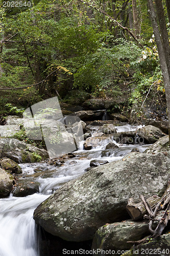 Image of Forest waterfall in Helen Georgia.