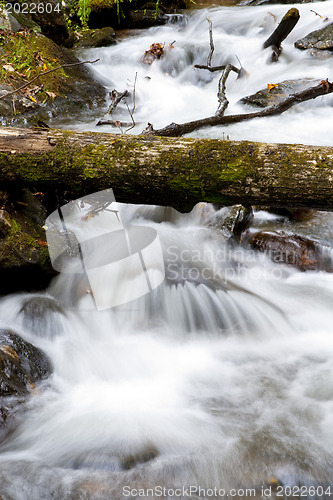 Image of Forest waterfall in Helen Georgia.