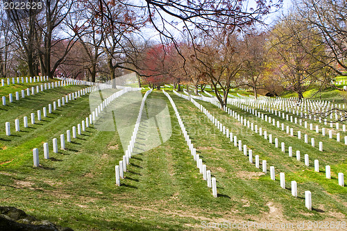 Image of Arlington Cemetery. Washington DC