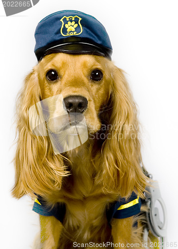 Image of Police dog