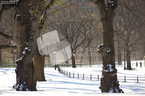 Image of Central Park, New York. Beautiful park in beautiful city. 