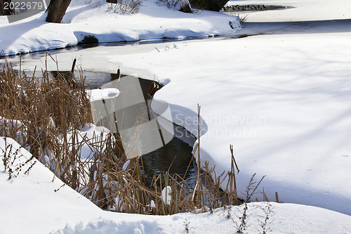 Image of Stream in winter park