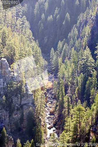 Image of Mountains of Arizona 