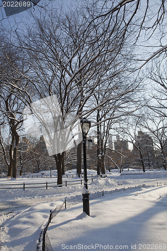 Image of Central Park, New York. Beautiful park in beautiful city. 