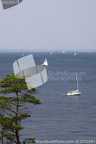 Image of Sailing yacht 