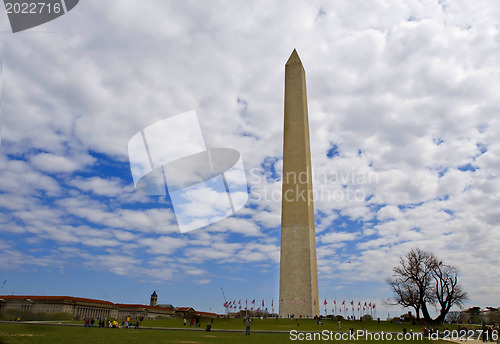 Image of Washington Monument