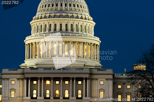 Image of The United States Capitol at night 