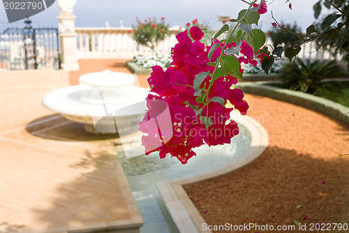 Image of Magnificent park near to center Bahai of religion.