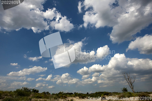 Image of Clouds in the blue sky 