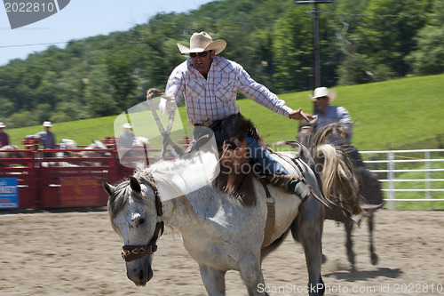 Image of Rodeo