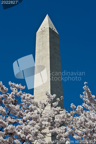 Image of Washington monument on sunny day