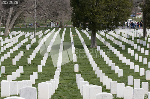 Image of Arlington Cemetery. Washington DC