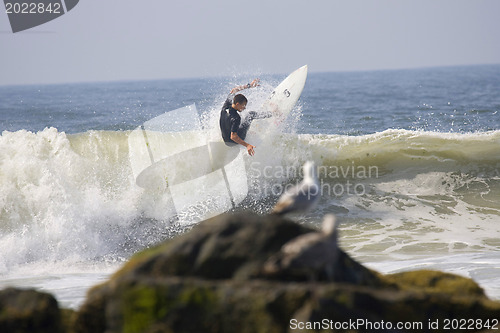 Image of Backlit surfer