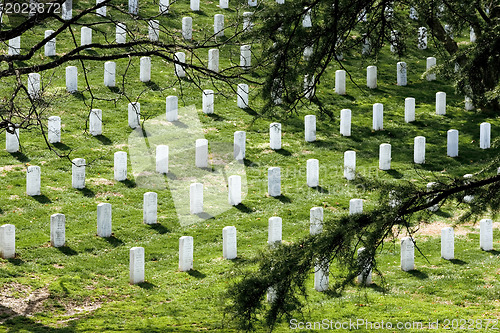 Image of Arlington National Cemetary