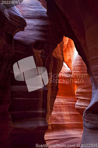 Image of Scenic canyon Antelope