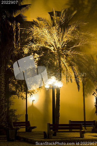 Image of Old Yaffo park. Israel