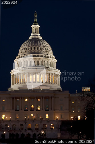 Image of The United States Capitol at night 