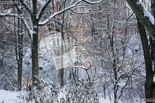 Image of Central Park, New York. Beautiful park in beautiful city. 