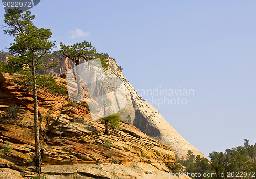 Image of Zion National Park