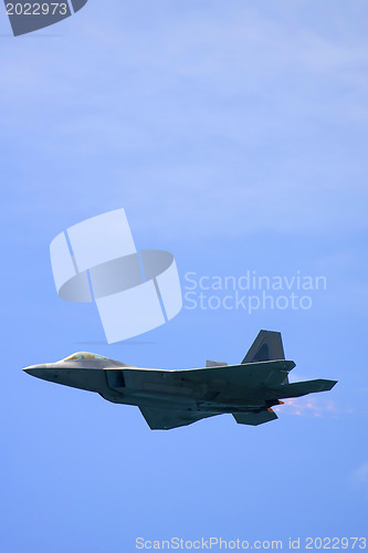 Image of F22 Raptor Fighter 