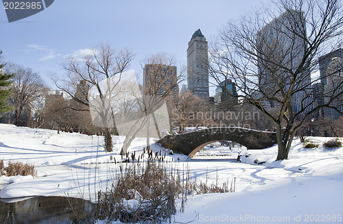 Image of Central Park, New York. Beautiful park in beautiful city. 