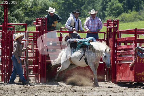 Image of Rodeo