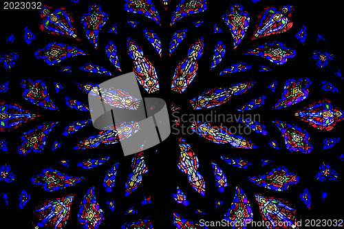 Image of Stained glass windows. St.Patrick's Cathedral in New York

Stain