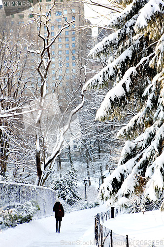 Image of Central Park, New York. Beautiful park in beautiful city. 