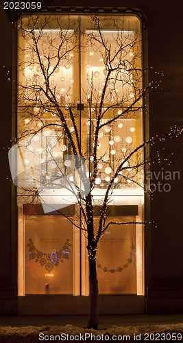 Image of Holiday Window Cases