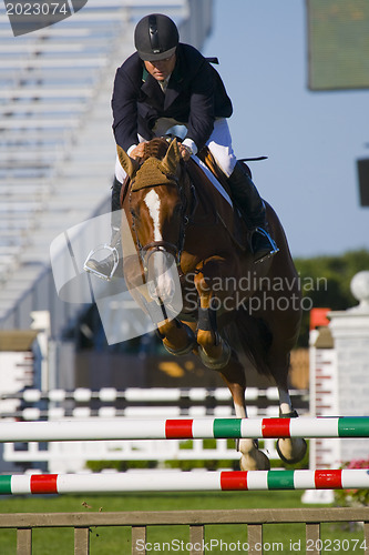 Image of show jumping 