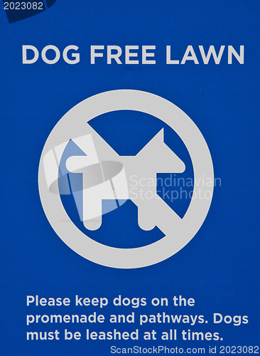 Image of Sing- Dog free lawn