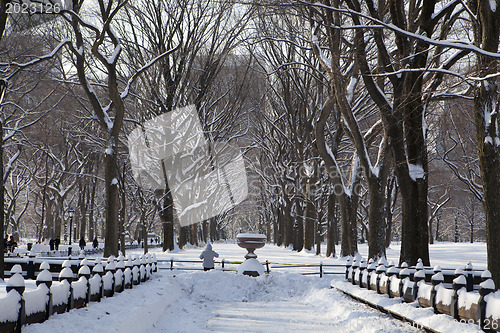 Image of Central Park, New York. Beautiful park in beautiful city. 