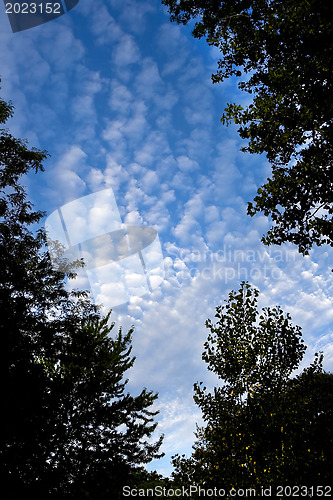 Image of  clouds in the blue sky 
