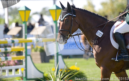 Image of Horseback Riding.