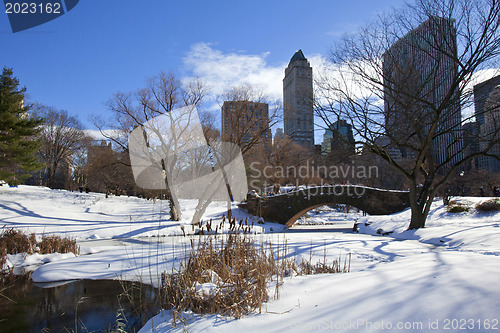 Image of Central Park, New York. Beautiful park in beautiful city. 