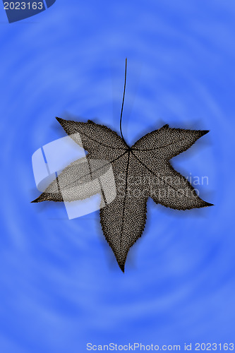 Image of Red leaf structure