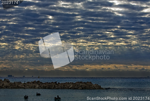 Image of Pelicans on rock in the morning 