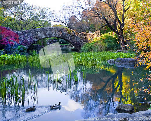 Image of Central Park, New York. Beautiful park in beautiful city. 