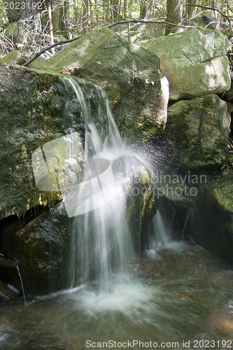 Image of Forest stream