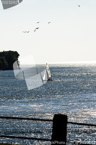 Image of Sailing Yacht 
