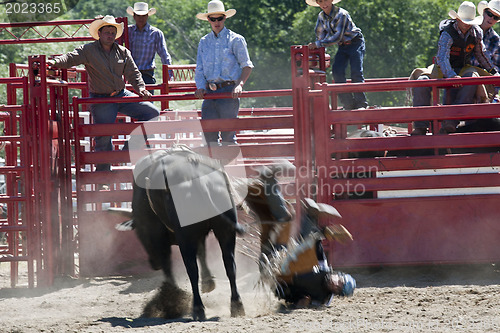 Image of Rodeo