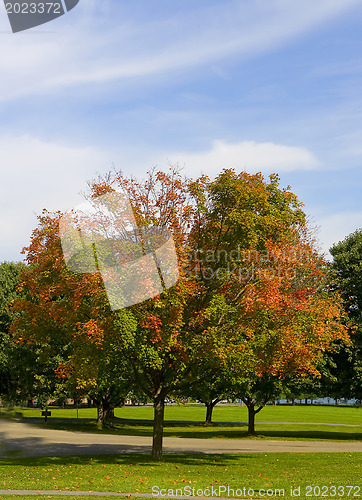 Image of Autumn park